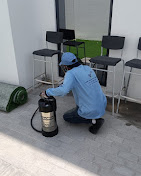 conrol pest services uae